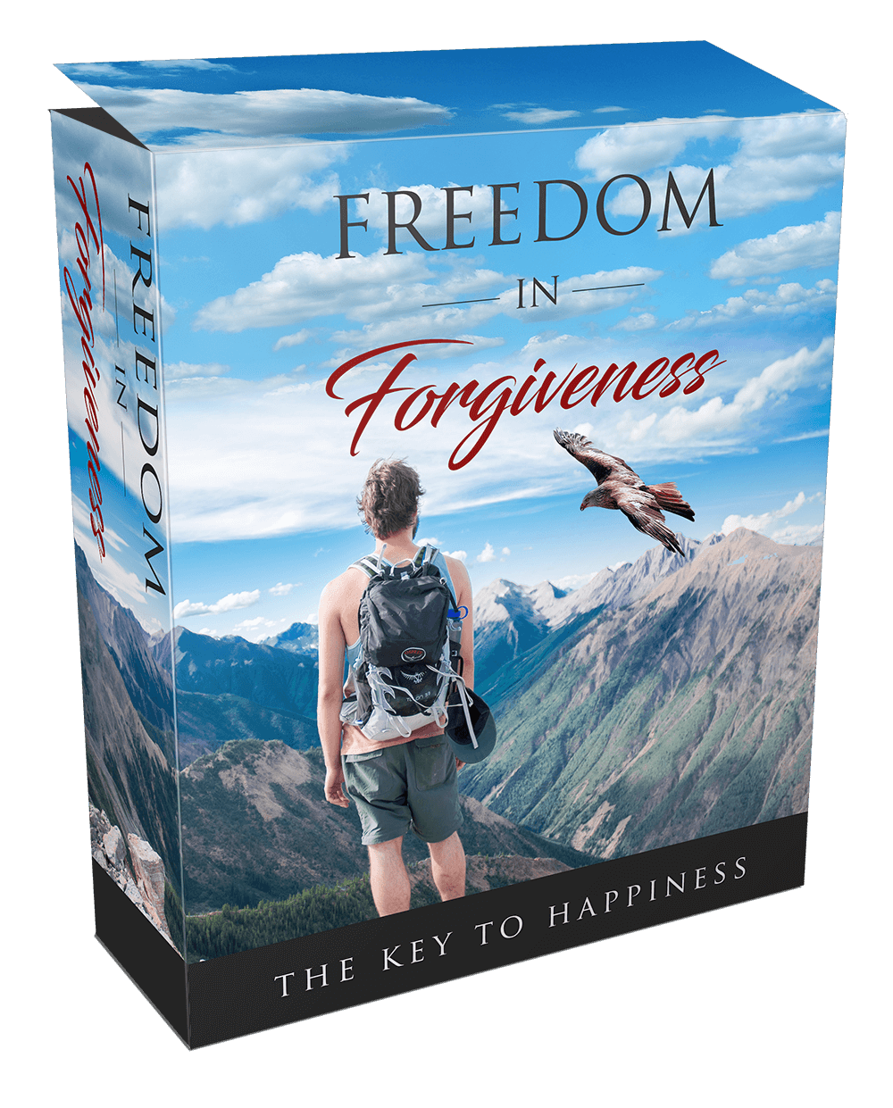 Freedom In Forgiveness