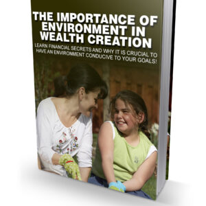 THE IMPORTANCE OF ENVIRONMENT IN WEALTH CREATION
